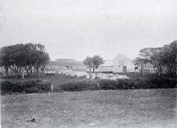 A wool shed, possibly on the Ritchie farm near Kaingaroa