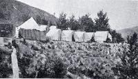 The Christchurch City Council's scheme to obtain power from the Waimakariri River, near Pattersons Creek 