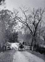A suburban scene