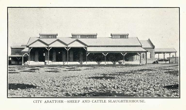 City Abattoir - Sheep and Cattle Slaughterhouse City Abattoir - Sheep and Cattle Slaughterhouse