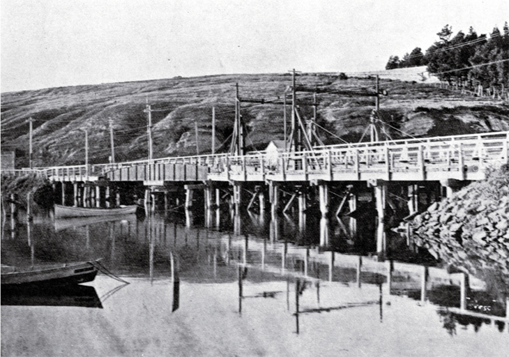 The old Ferry Bridge, soon before removal from over the Heathcote River, Christchurch The old Ferry Bridge, soon before removal from over the Heathcote River, Christchurch