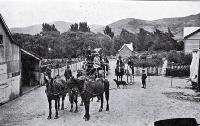 The coach to Akaroa at Duvauchelle's Bay, Banks Peninsula