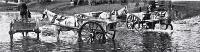 Delivery carts with horses being watered at the Avon River near the Victoria Street bridge, Christchurch