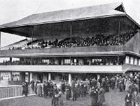 Addington Raceway stewards' stand, New Zealand Metropolitan Trotting Club's August meeting