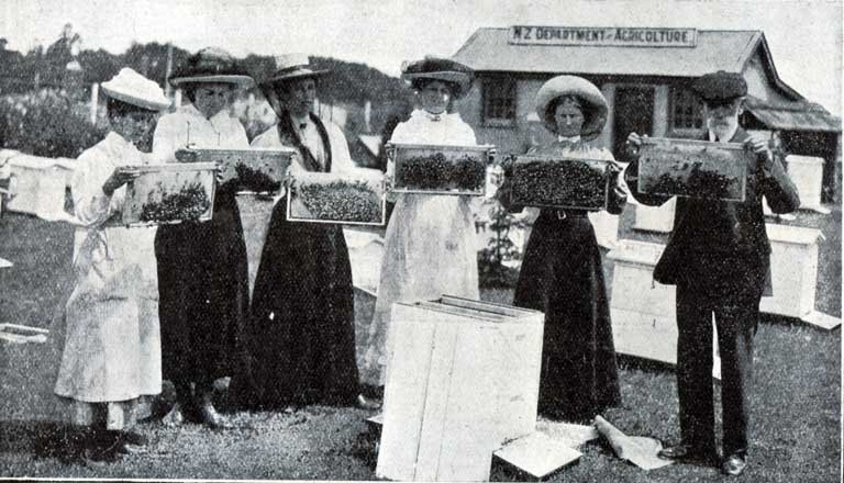 Demonstration of the handling of bees. Demonstration of the handling of bees.