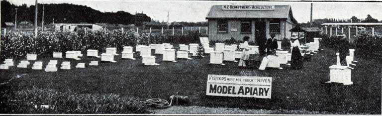 A view of the model apiary. A view of the model apiary.
