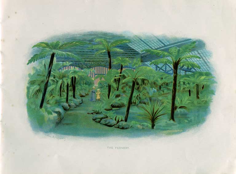 The Fernery