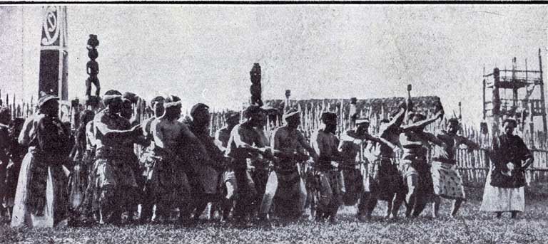 A Maori Haka A Maori Haka