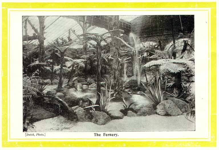 The Fernery The Fernery