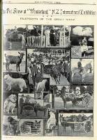 The pet show at Wonderland.
