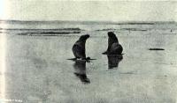  “Bully” and  “Lady Nelly” making for the ocean after being liberated.