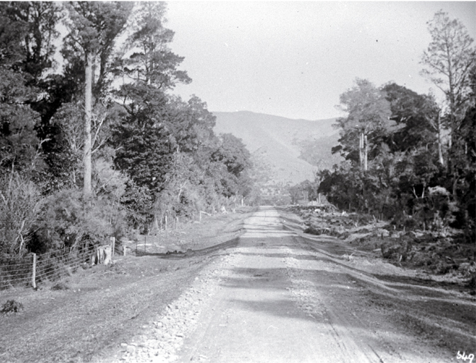 A road running through Peel Forest, South Canterbury A road running through Peel Forest, South Canterbury