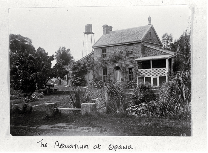 Johnson's Fishponds, the Aquarium at 105 Clarendon Terrace, Opawa Johnson's Fishponds, the Aquarium at 105 Clarendon Terrace, Opawa