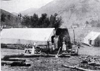 A typical hut near Staircase Gully, West Coast, 1901