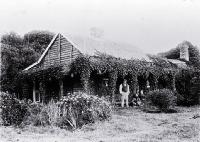 Punga or tree-fern house used by the Maori and Moriori of the Chatham Islands