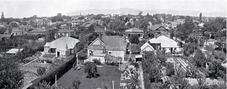 A city of gardens : a view of gardens at the back of surburban houses in Christchurch. A city of gardens : a view of gardens at the back of surburban houses in Christchurch.
