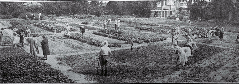 Women's Land Army plots, Abberley Park, St Albans Women's Land Army plots, Abberley Park, St Albans