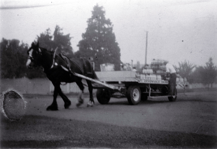 Wartime milk delivery, corner Alpha Avenue and Normans Road, Bryndwr, Christchurch Wartime milk delivery, corner Alpha Avenue and Normans Road, Bryndwr, Christchurch