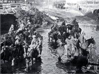 Troops watering horses in the Avon River near Carlton Bridge, Christchurch