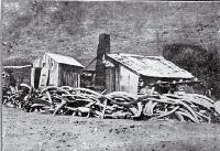 An old whaling hut at Kaikoura