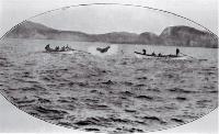 An exciting moment as a boat's crew approach a harpooned whale to lance it