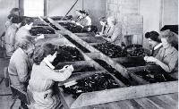 Munitions jobs were often monotonous