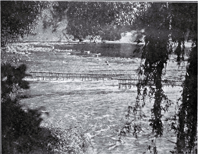 A pa tuna, or eel weir, on the upper reaches of the Wanganui River A pa tuna, or eel weir, on the upper reaches of the Wanganui River