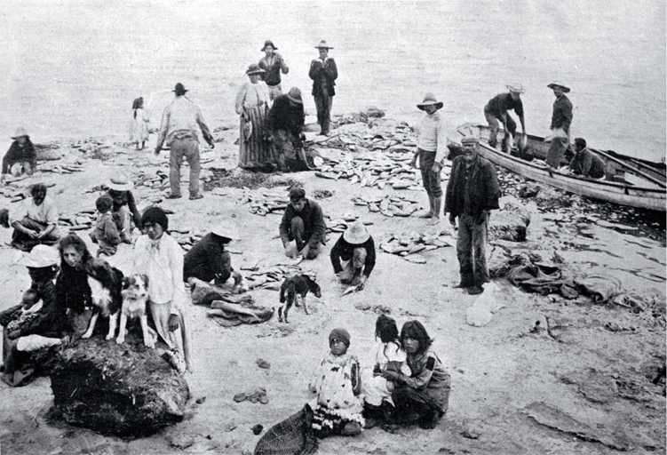 A Maori fishing party in far north A Maori fishing party in far north