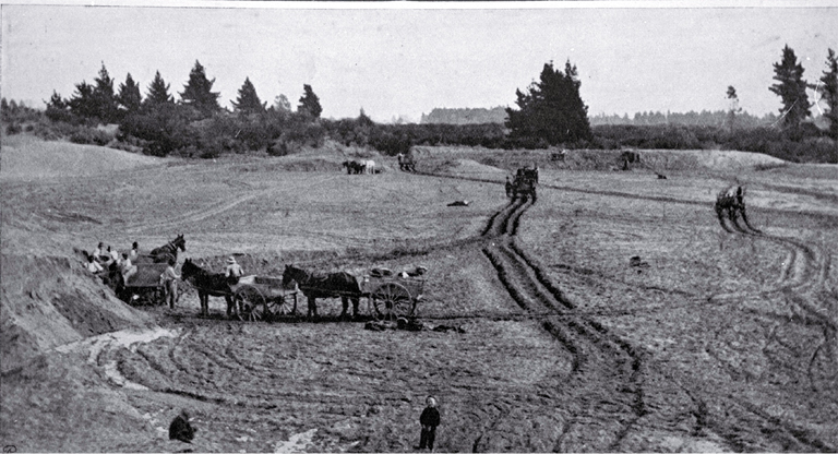 Levelling the sandhills for the Christchurch Drainage Board's sewage farm, Bromley, Christchurch Levelling the sandhills for the Christchurch Drainage Board's sewage farm, Bromley, Christchurch