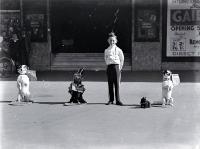 Stanley McKay's Gaieties of 1936