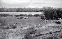 General view of the Christchurch Drainage Board's sewage farm, Bromley, Christchurch