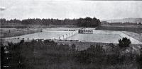 General view of the Christchurch Drainage Board's septic tank on the sewage farm, Bromley, Christchurch