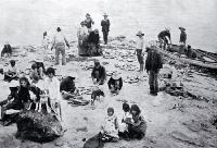 A Maori fishing party in far north