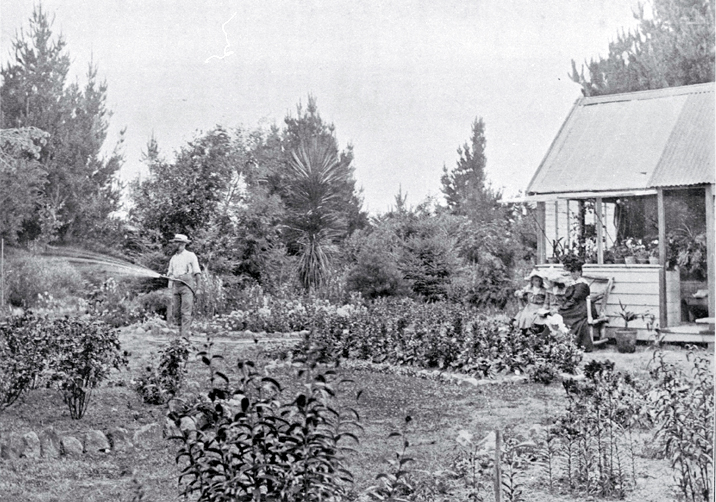 Waihora Domain, Park Road, Motukarara 