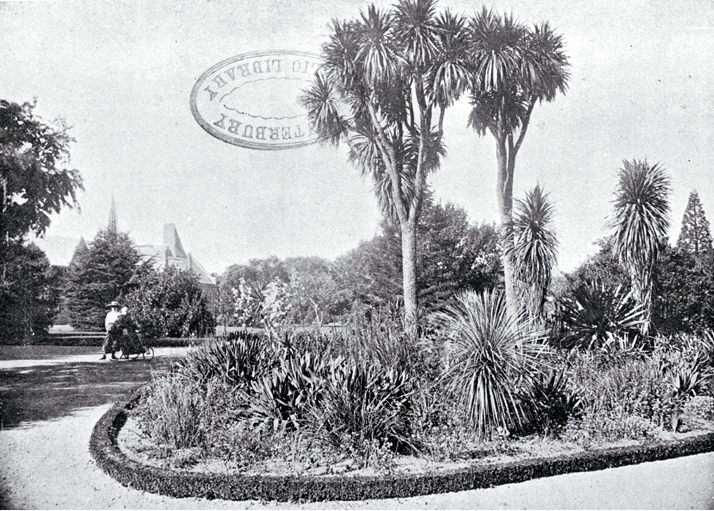 Christchurch Domain : a portion of the garden. Christchurch Domain : a portion of the garden.