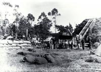 The threshing gang pose for the camera, Moderate farm, Bennetts district, Canterbury