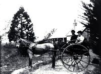 Gig outside a country homestead, Canterbury