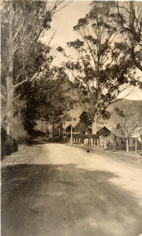 Bridle Path Road Bridle Path Road