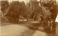 Front gate of “Hillwood” Bridle Path Road, Heathcote