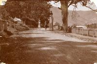 Girth shown of the Blue-gum tree. Miss Wright's home where Rev. Parr boarded when a young curate at St. Mary's Church