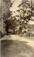 Bridle Path Road