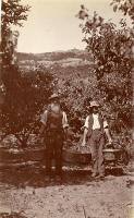 Everything was done by hand & meant lots of carrying to the packing shed. All the hillside was hand-dug & irrigated by a windmill in the paddock land in paddock land opposite the orchard on the hillside