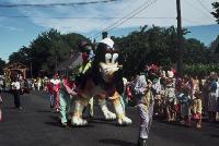 Dog float