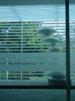 Looking out from the library