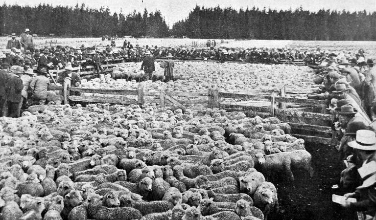 This picture gives a view of the crowd, which took the keenest interest in the progress of the sale. This picture gives a view of the crowd, which took the keenest interest in the progress of the sale.