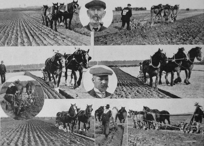 The Leeston Ploughing Match. The Leeston Ploughing Match.