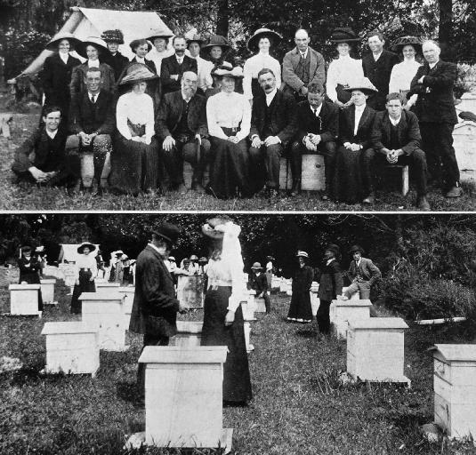 Canterbury Bee-keepers’ Association. Canterbury Bee-keepers’ Association.