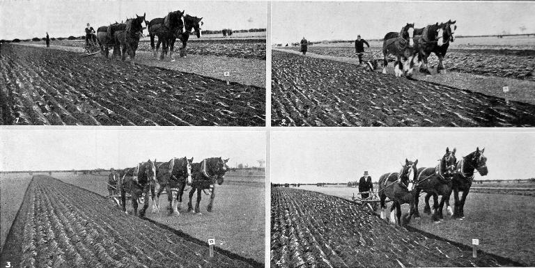 The Ellesmere A. and P. Association’s annual ploughing match at Doyleston, Canterbury. The Ellesmere A. and P. Association’s annual ploughing match at Doyleston, Canterbury.