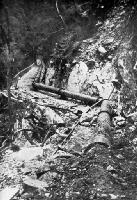 Pipes which convey water down Holt’s Creek.