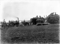 Men working the threshing mill on the Moderate farm, Bennetts district, Canterbury